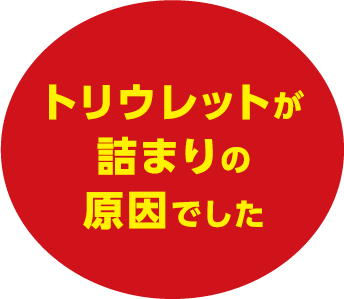 トリウレットが詰まりの原因でした